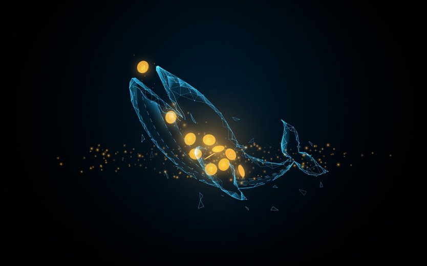 crypto Whale