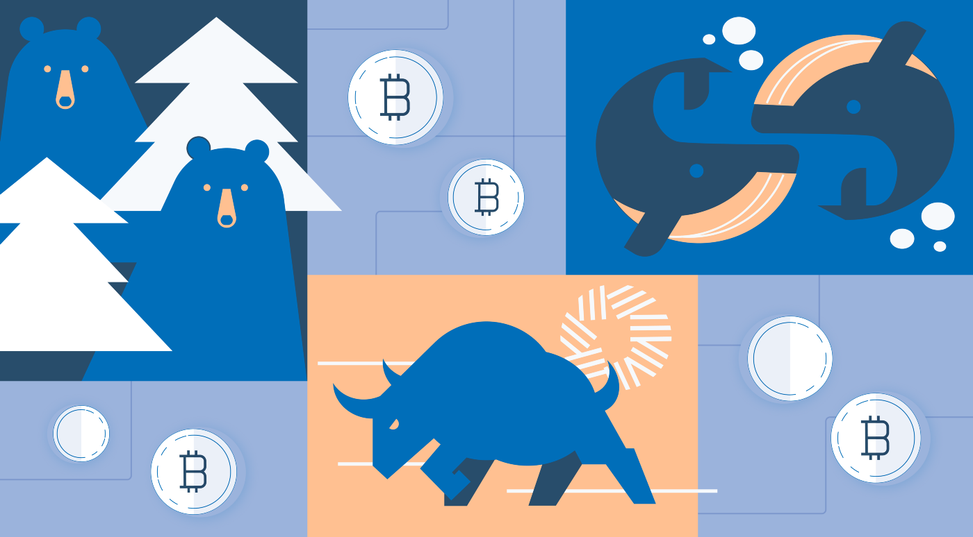 crypto-animals