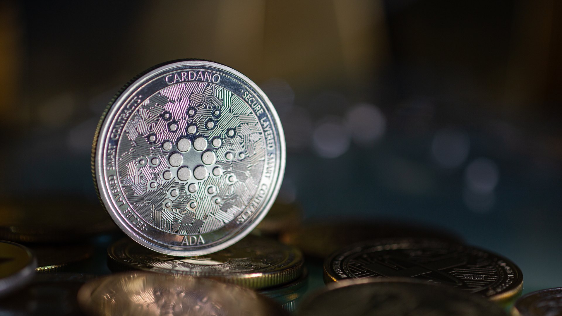 cardano