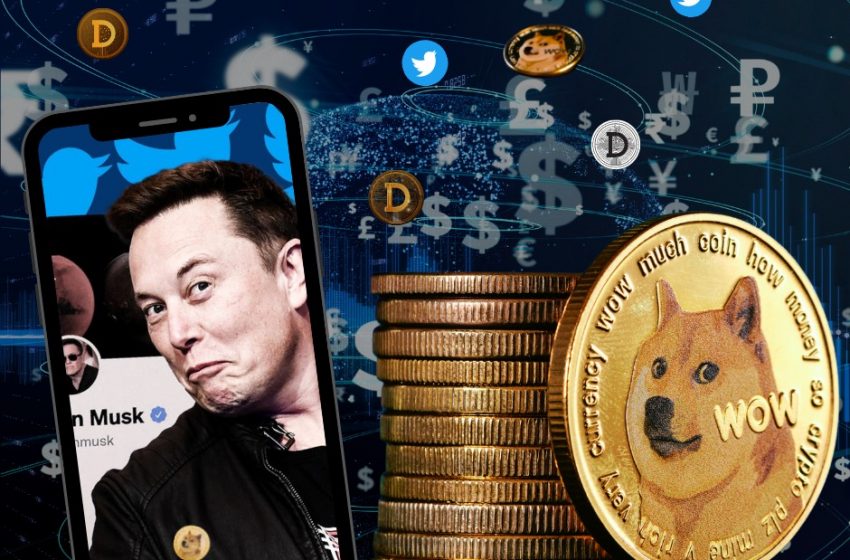 dogecoin-and-elon